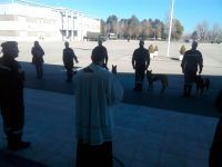 umeperros4