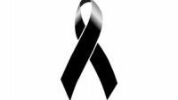 descarga