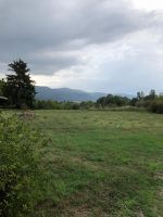 IMG-20190919-WA0027