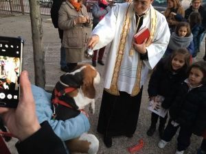 Bendición Animales - Parroquia Castrense Nuestra Señora Loreto - Alcalá de Henares