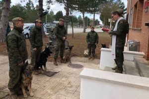 Celebración de San Antonio Abad en la Base Castrillo del Val