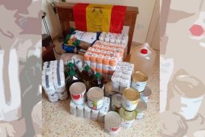 Recogida de alimentos por el Grupo Logístico 1, de la Brigada Aragón. Zaragoza