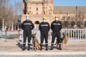 Bendición de caballos y perros policiales que ayudan mantener la seguridad ciudadana e incluso salvar vidas