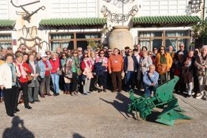 CONVIVENCIA DE LAS CARITAS PARROQUIALES CASTRENSES DE MÁLAGA Y RONDA Y COMIDA CONJUNTA DE NAVIDAD