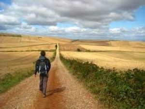 Diario de un Pastor ante el COVID-19. 25.6.2020
